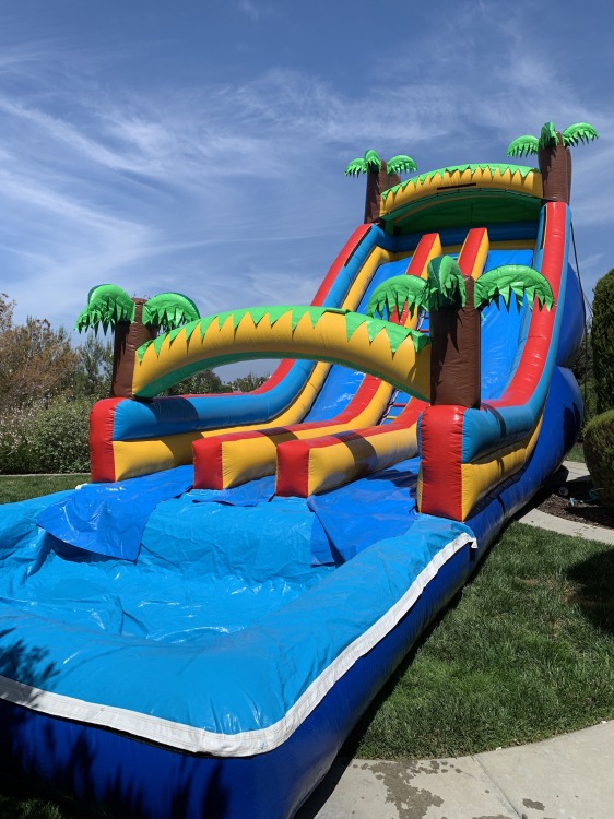 21ft Dual Lane Tropical Slide