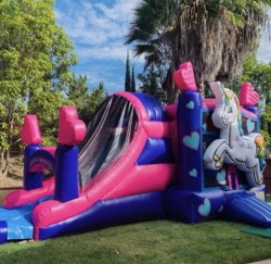 4E8522A5 5A04 4C3A B548 0845933D6803 771526598 Unicorn Combo Bounce House