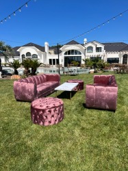 E1978F51 1730 4463 A716 3900655D5254 374956984 Blush Velet Sofa