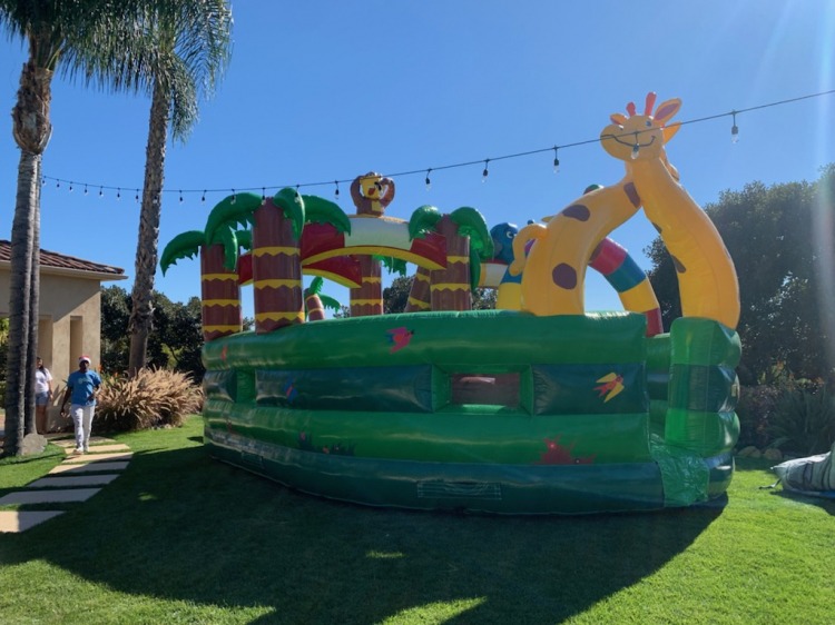 Giant Tropical Bouncer