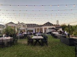 IMG 1468 1773528408 String Lights Install