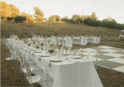 Screenshot202025 10 0120at201.45.17PM 1759352479 Ghost Chair